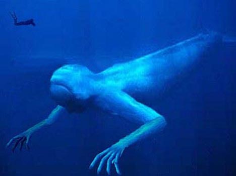 Antarctic ningen humanoid -- 