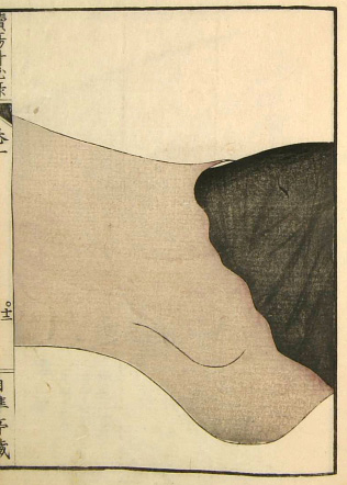 Edo-period medical illustration -- 