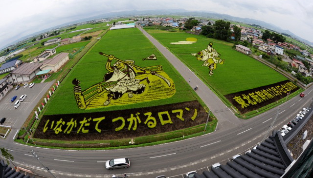 Rice paddy crop art in Japan, 2010 --
