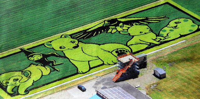 Rice paddy crop art in Japan, 2010 --