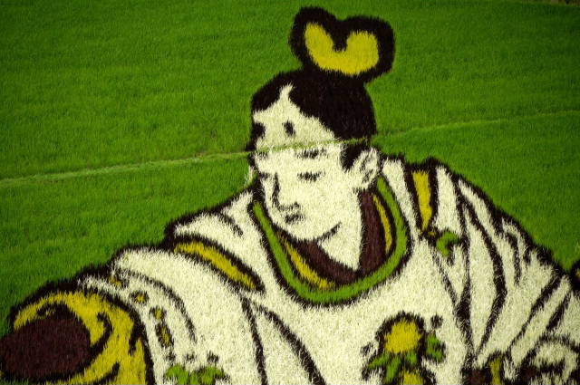 Rice  paddy crop art in Japan, 2010 --