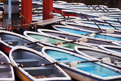 Paddleboats -- 