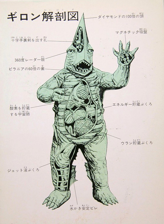 Guiron anatomical illustration -- 