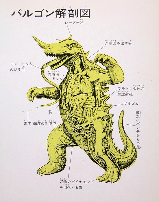 Baragon anatomical illustration -- 