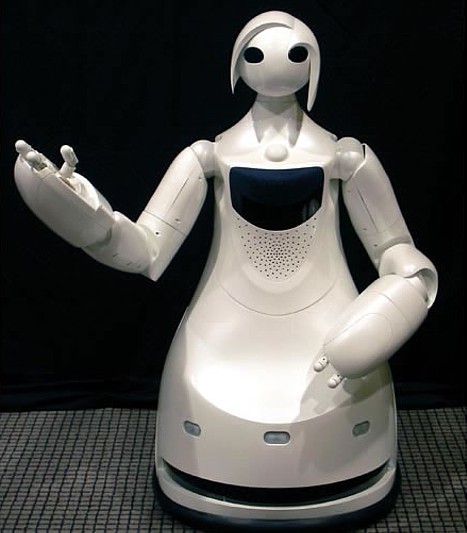 TPR-Robina, Toyota guide robot -- 